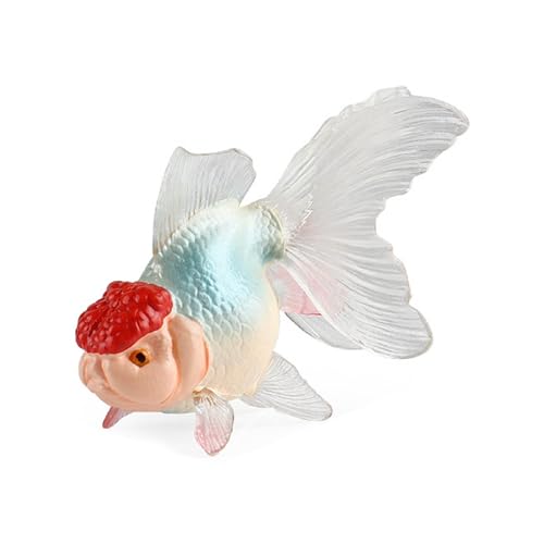 BAHJKASD Kunststoff Fisch Modell Ornament Realistische Figuren Fische Kunsthandwerk Aquarium Landschaft Aquarium Desktop Dekoration von BAHJKASD