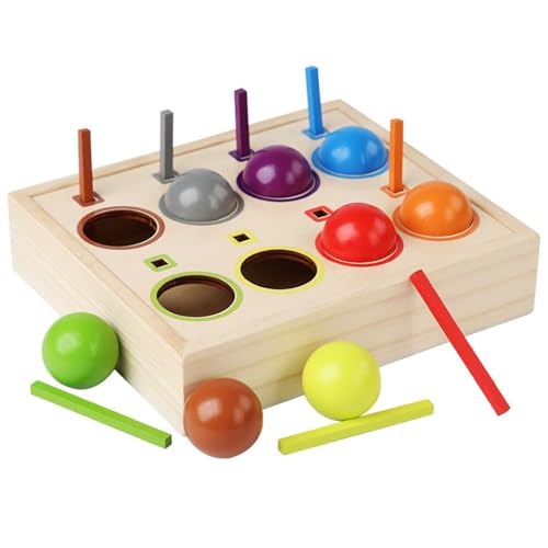 BAHJKASD Regenbogen Farbsortierspiel Für Kinder Pädagogisches Passendes Gehirn Entwicklungs Plugging Stick Kind Geburtstagsgeschenk von BAHJKASD