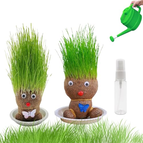 BAISHUWU Graskopf Puppenpflanze, 2PCS Wachsende Graskopf Puppenpflanze, Graskopf Wachsende, Graskopf Puppe Mit Tablett, Mini Bonsai Gras Kopf Figure Puppen, Kinder Handwerk DIY Lustiges Geschenke von BAISHUWU