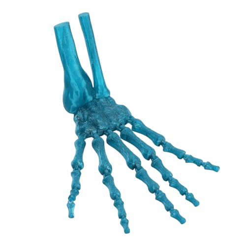 Gelenkige Fingerverlängerungen, 3D-Fingerverlängerungen mit Flexiblem Gelenk, Gruselige Geisterhandschuhe, Skelett-Knochenklaue, Hand, Cosplay-Requisite, Skele von BAOFUYA