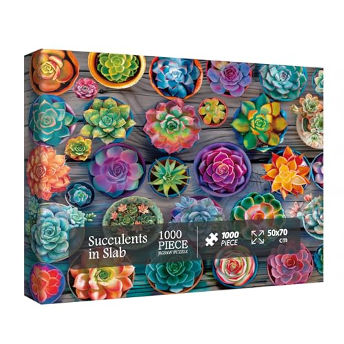 Bunte Sukkulenten-Puzzles für Erwachsene, 1000 Teile, hübsches Blumen-Kunst-Puzzle, schöne niedliche Puzzles mit Blumenmuster von BBOLDIN