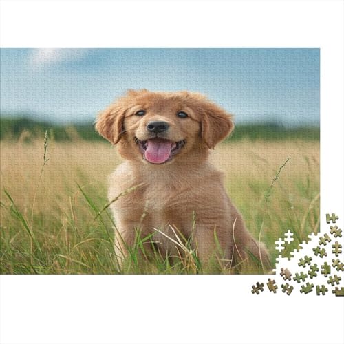 Golden Retriever Puzzle 1000 Teile Puzzle Erwachsene Schwieriges Schwer Puzzle Für Erwachsene Und Kinder Ab 14 Jahren Puzzel 1000pcs (75x50cm) von BBQYNVKJR