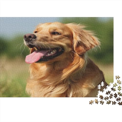 Golden Retriever Puzzlespiel 1000 Teile, Puzzle Erwachsene 1000 Teile, Impossible Puzzle Geschicklichkeitsspiel Für Die Ganze Familie, Puzzle Erwachsene 1000 Teile Puzzel 1000pcs (75x50cm) von BBQYNVKJR