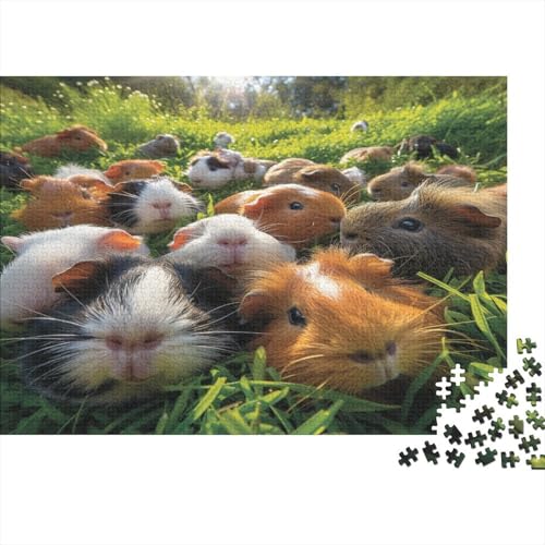 Guinea Schwein 1000 Teile, Impossible Puzzle,GesKükenlichkeitsspiel Für Die Ganze Familie, Erwachsenenpuzzle Ab 14 Jahren Puzzel 1000pcs (75x50cm) von BBQYNVKJR