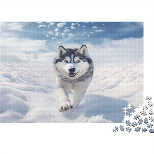 Husky Puzzlespiel 1000 Teile Puzzles Für Erwachsene Lernspiel Herausforderung Spielzeug 1000 Teile Puzzles Für Erwachsene Kinder Erwachsenen Puzzlespiel Puzzel 1000pcs (75x50cm) von BBQYNVKJR