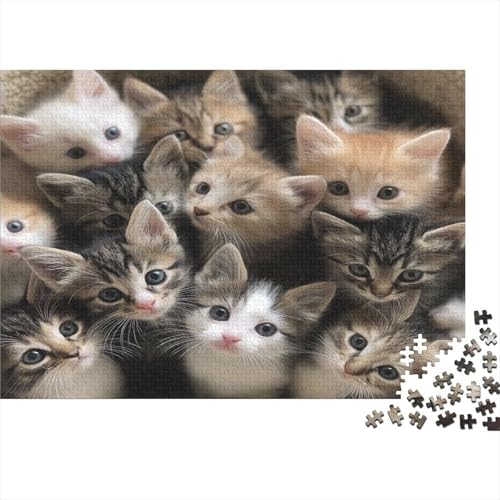 Kat Puzzle 1000 Teile Erwachsener Kniffel Spaß Für Die Ganze Familie - Abwechslungsreiche 1000 Puzzleteilige Motive Puzzle Erwachsene, Puzzel 1000pcs (75x50cm) von BBQYNVKJR