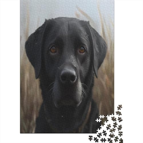 Labrador Retriever 1000 Stück Puzzles Für Erwachsene Teenager Stress Abbauen Familien-Puzzlespiel 1000-teiliges Puzzle Kinder Lernspiel Spielzeug Geschenk Puzzel 1000pcs (75x50cm) von BBQYNVKJR