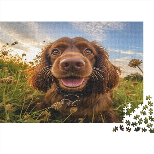 Pastoral Hund Puzzle 1000 Teile Puzzles Für Erwachsene Lernspiel Herausforderungsspielzeug 1000-teilige Puzzlespiel Für Erwachsene Kinder Puzzel 1000pcs (75x50cm) von BBQYNVKJR