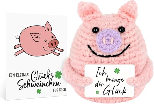 BCEDIGAD Pocket Hug Glücksschweinchen,Strickwolle Glücksschwein,Kreative Positive Geschenke,Schwein mit Positiver Energiekarte,Glücksschweinchen für Den Besten Freund Geschenke von BCEDIGAD