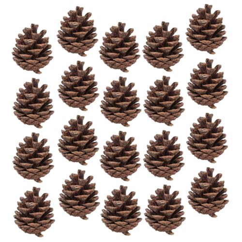 BCOATH 30 Stück Weihnachts Tannenzapfen Weihnachts Tannenzapfen Weihnachtsbaum Dekoration Feiertagsdekorationen Thanksgiving Ornamente Weihnachtsdekorationen DIY Tannenzapfen von BCOATH