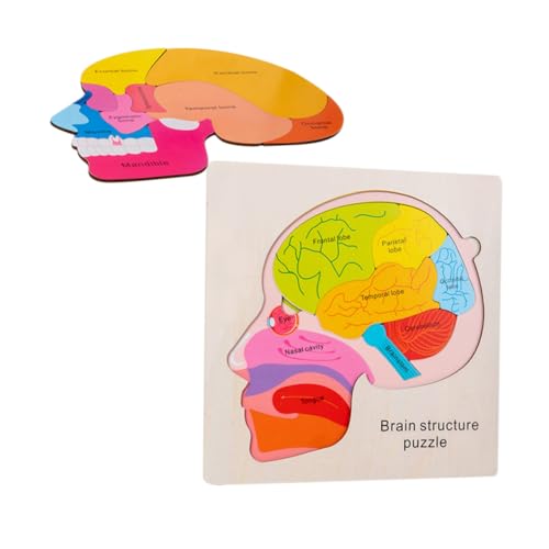 BCOATH Holz Multischichten Puzzle Gehirnstruktur Lernspielzeug für Pädagogisches Gehirnmodell Fördert Kognitive Entwicklung Altersgerechtes Denkspiel für Jungen und Mädchen Ab Jahren BCOATH Holz Multischichten Puzzle Gehirnstruktur Lernspielzeug für Pädagogisches Gehirnmodell Fördert Kognitive Entwicklung Altersgerechtes Denkspiel für Jungen und Mädchen Ab Jahren von BCOATH