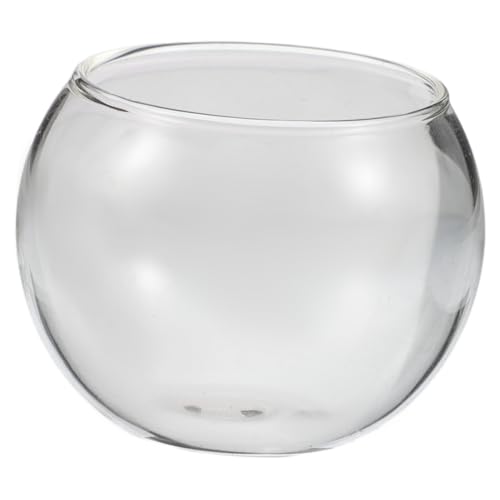 BCOATH Dekorative Mini-Aquarium-glasschale Landschaft Für Betta Für Jungen Und Mädchen Tee von BCOATH