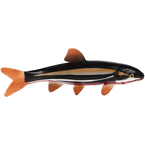 BCOATH Schafgarbe Fischspielzeug Aquarium-Display-Gadget Fischspiel-Tool Spielzeug Fische Lernspielzeug für Kinder buntes Fischspielzeug von Partyspielzeug Hartplastik von BCOATH