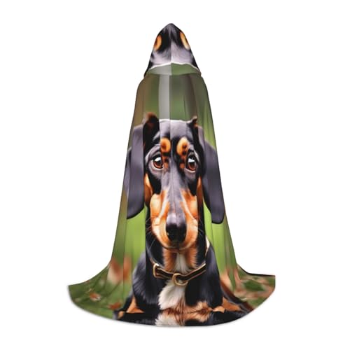 BDDFN Dackel Weiner Haustier Hunde Druck Unisex Halloween Kapuzenumhang für Cosplay Umhang Halloween Rollenspiel Hexe Gothic von BDDFN