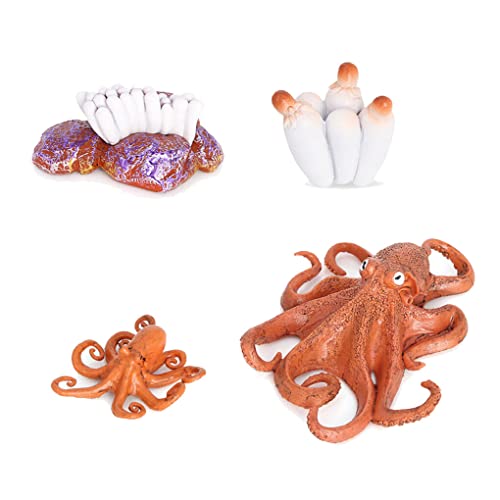 BEALIFE 1 Set Spatenwurm Modell, lebensechte, bedeutungsvolle Insektenfiguren, interessante Kinderspielzeuge, wachsende Modelle für Schulprojekte, Oktopus Typ 2 von BEALIFE