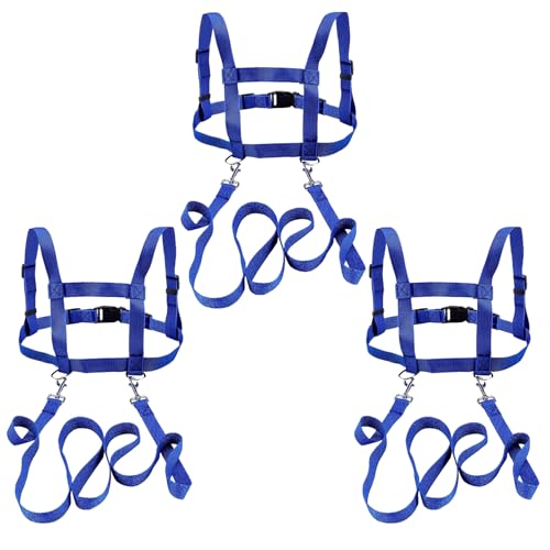 3 Stück Pferdeleine zum Spielen für Kinder Blau Pferdeleine Pferdeleine Spielzeug Pferde Longierleine Pferdegeschirr für Kinder zum Spielen Harness für Jungen und Mädchen 3 Stück Pferdeleine zum Spielen für Kinder Blau Pferdeleine Pferdeleine Spielzeug Pferde Longierleine Pferdegeschirr für Kinder zum Spielen Harness für Jungen und Mädchen von BEIMEIII