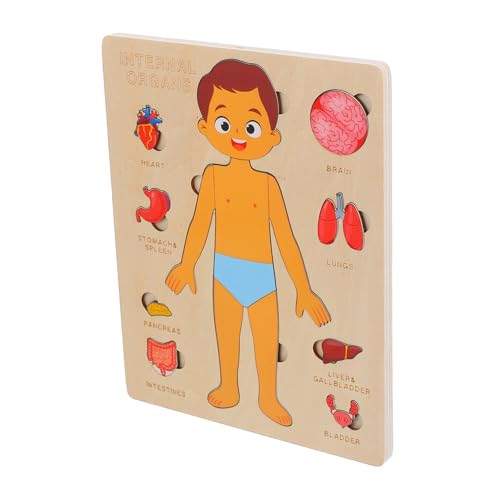 BELLIFFY Pädagogisches Puzzle-spielzeug für Jungen und Mädchen 1 Set Puzzle mit Menschlichen Körperorganen Holzspielzeug für Jungen und Mädchen Montessori-lernspiele für Jungen und Mädchen von BELLIFFY