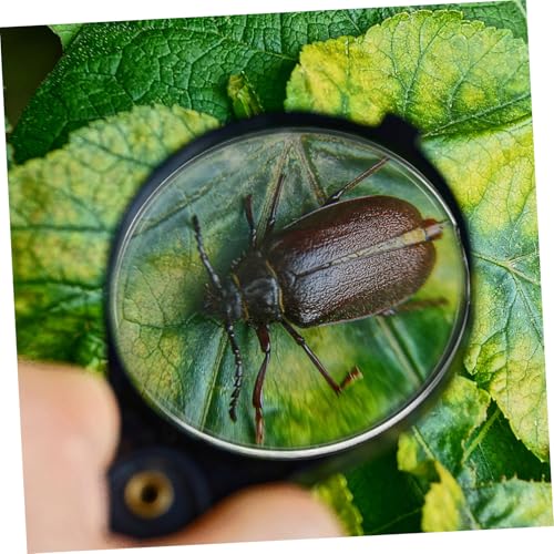 BELLIFFY 6 Stück Teiliges Doppelt Konvexe Optische Linsen Leichte und Langlebige für Physikunterricht Wissenschaftliche Experimente und Optische Labore Tragbar und Kompakt BELLIFFY 6 Stück Teiliges Doppelt Konvexe Optische Linsen Leichte und Langlebige für Physikunterricht Wissenschaftliche Experimente und Optische Labore Tragbar und Kompakt von BELLIFFY