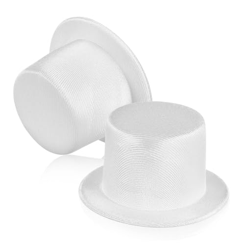 BESPORTBLE 2 Stück Miniatur Schneemann Hüte Kleine Bastelhüte aus Leichtem für DIY Weihnachtsdeko Kreative Mini Hüte für Puppen Haustiere und Handwerksprojekte BESPORTBLE 2 Stück Miniatur Schneemann Hüte Kleine Bastelhüte aus Leichtem für DIY Weihnachtsdeko Kreative Mini Hüte für Puppen Haustiere und Handwerksprojekte von BESPORTBLE