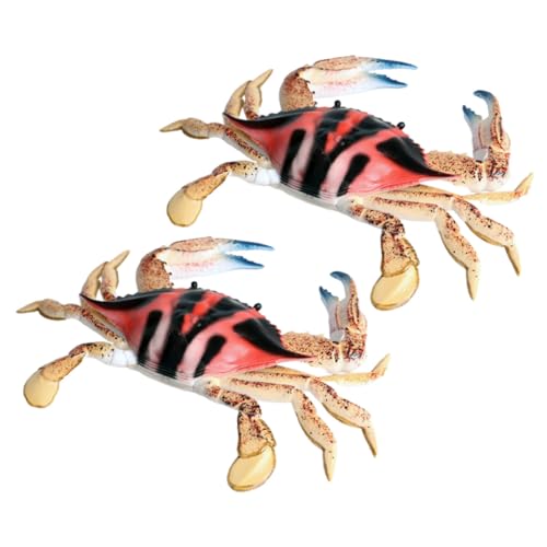 BESPORTBLE 2 Stück Teiliges Krabbenmodell aus Robustem Detailgetreues Meeresbewohner für Pädagogisches Realistisch Gestaltetes Tier Ornament Farbenfrohes Lernspielzeug für Mädchen und Jungen BESPORTBLE 2 Stück Teiliges Krabbenmodell aus Robustem Detailgetreues Meeresbewohner für Pädagogisches Realistisch Gestaltetes Tier Ornament Farbenfrohes Lernspielzeug für Mädchen und Jungen von BESPORTBLE