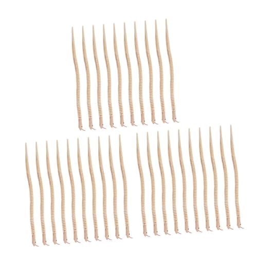 BESPORTBLE 30 Stck. Teiliges Holz Schlangenspielzeug Realistische Simulation Flexible DIY Tiermodelle Natürliche Farbe Sicher Langlebig Vielseitig als Gartendeko Scherzartikel und BESPORTBLE 30 Stck. Teiliges Holz Schlangenspielzeug Realistische Simulation Flexible DIY Tiermodelle Natürliche Farbe Sicher Langlebig Vielseitig als Gartendeko Scherzartikel und von BESPORTBLE