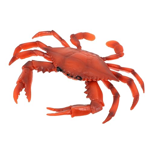 BESPORTBLE 7 Stk Simulationsornamente meerestiere Figuren Marine animal figure Krabbenfiguren Wohnkultur Meerestierfiguren Modelle Spielzeug Ozeantiersimulation Meerestierverzierung PVC rot von BESPORTBLE