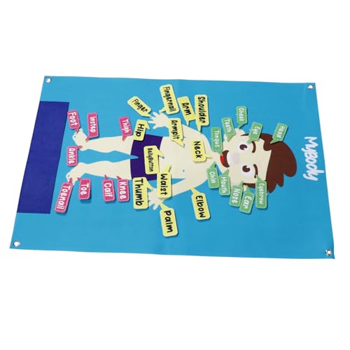 BESPORTBLE Interaktives Filz Menschlicher Körper Poster Für Kleinkinder Lernspielzeug Feinmotorik Frühpädagogisches Wand Activity Board Für Eltern Junge Mädchen Kommunikation BESPORTBLE Interaktives Filz Menschlicher Körper Poster Für Kleinkinder Lernspielzeug Feinmotorik Frühpädagogisches Wand Activity Board Für Eltern Junge Mädchen Kommunikation von BESPORTBLE