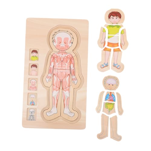 BESPORTBLE Lernspielzeug Puzzle Körperstruktur Mehrschichtiges Holzspielzeug Bunte Cartoon Motive Fördert Kreativität Motorische Fähigkeiten für Jungen Mädchen Montessori Geeignet BESPORTBLE Lernspielzeug Puzzle Körperstruktur Mehrschichtiges Holzspielzeug Bunte Cartoon Motive Fördert Kreativität Motorische Fähigkeiten für Jungen Mädchen Montessori Geeignet von BESPORTBLE