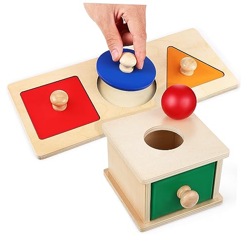 BESPORTBLE Montessori Holzspielzeug mit Objektpermanenz Ball Box für Pädagogisches Lernspielzeug Beobachtung und Wahrnehmung Geometrischem Steckbrett für Eltern Junge Mädchen Interaktion BESPORTBLE Montessori Holzspielzeug mit Objektpermanenz Ball Box für Pädagogisches Lernspielzeug Beobachtung und Wahrnehmung Geometrischem Steckbrett für Eltern Junge Mädchen Interaktion von BESPORTBLE