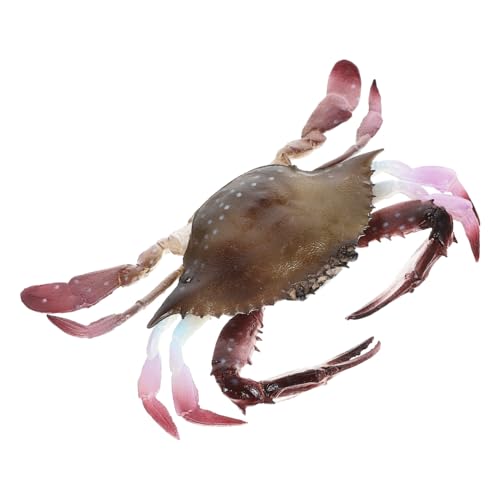 BESPORTBLE Realistisches Krabbenmodell aus PVC Kompaktes Meerestier Detailgetreue Dekoration für Aquarium und Lernspielzeug für Sammler BESPORTBLE Realistisches Krabbenmodell aus PVC Kompaktes Meerestier Detailgetreue Dekoration für Aquarium und Lernspielzeug für Sammler von BESPORTBLE