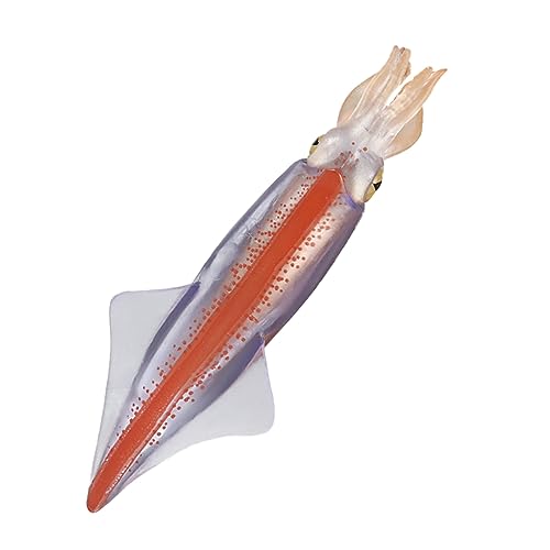 BESPORTBLE Realistisches Tintenfischmodell aus Kunststoff Pädagogisches Meereslebewesen für Vorschul Lernspielzeug Robustes Lernspiel für Frühe Kognitive Entwicklung BESPORTBLE Realistisches Tintenfischmodell aus Kunststoff Pädagogisches Meereslebewesen für Vorschul Lernspielzeug Robustes Lernspiel für Frühe Kognitive Entwicklung von BESPORTBLE