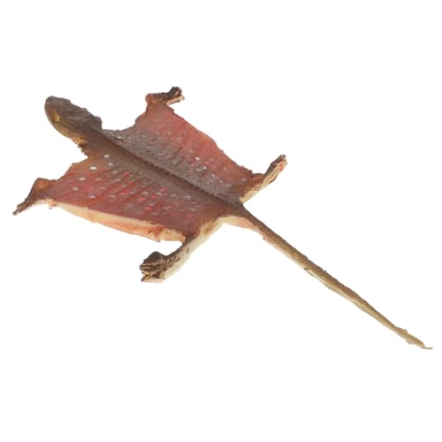 BESPORTBLE Simulation Gecko Figurine Kunststoffmodell mit Realistischen Details Halloween Deko und Garten Indoor Reptilien Ornament Leicht Tragbar für Party und Innenraum Gestaltung BESPORTBLE Simulation Gecko Figurine Kunststoffmodell mit Realistischen Details Halloween Deko und Garten Indoor Reptilien Ornament Leicht Tragbar für Party und Innenraum Gestaltung von BESPORTBLE