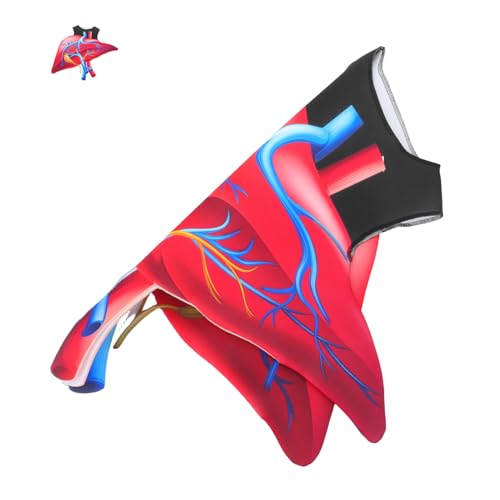 BESTYASH Herz Kostüm Halloween Sponge Kostüm Leicht und Bequem für Party Bühne Lernkostüm Vielseitig für Schule Theater und Festveranstaltungen BESTYASH Herz Kostüm Halloween Sponge Kostüm Leicht und Bequem für Party Bühne Lernkostüm Vielseitig für Schule Theater und Festveranstaltungen von BESTYASH