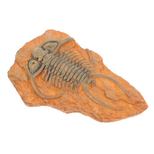 BESTYASH Paleontologisches Insektenexemplar aus Resin Dekoratives Leichtes Sammlerstück Geeignet für Unterricht Sammlung und Wissenschaftliche Präsentation BESTYASH Paleontologisches Insektenexemplar aus Resin Dekoratives Leichtes Sammlerstück Geeignet für Unterricht Sammlung und Wissenschaftliche Präsentation von BESTYASH