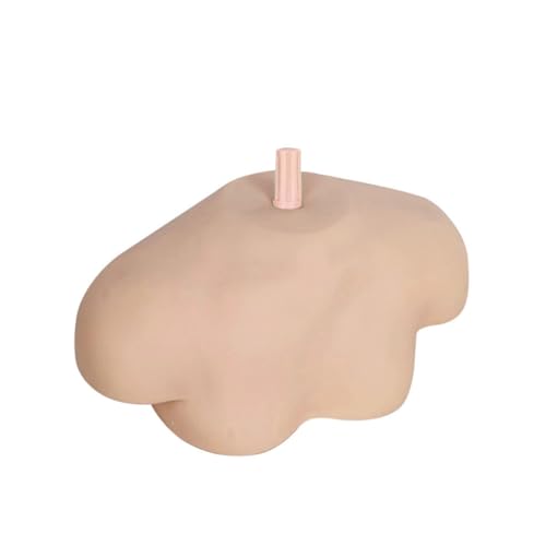 BESTYASH Schultermodell mit Universalem Ständer Pvc material Glatte Oberfläche Praktisches Übungsmodell für Friseure Kosmetologie schüler Schönheitssalons und Medizinische Ausbildung BESTYASH Schultermodell mit Universalem Ständer Pvc material Glatte Oberfläche Praktisches Übungsmodell für Friseure Kosmetologie schüler Schönheitssalons und Medizinische Ausbildung von BESTYASH