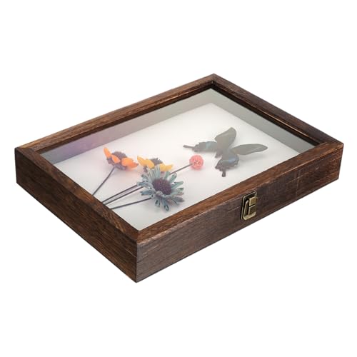 BESTYASH Specimen Holder Holz Vitrine mit Transparentem Deckel Staubdichte Rechteckige Aufbewahrungsbox aus Robustem Kohlenstofffarbener Paulownienholz Inklusive Weißer Matte für Insekten BESTYASH Specimen Holder Holz Vitrine mit Transparentem Deckel Staubdichte Rechteckige Aufbewahrungsbox aus Robustem Kohlenstofffarbener Paulownienholz Inklusive Weißer Matte für Insekten von BESTYASH
