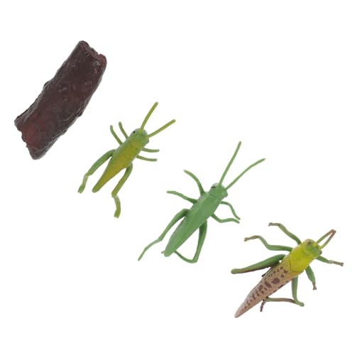BESTonZON 1 Satz Insektenmodell Lovely kuschelig enthologien greneric laufstall Spielzeug caakg Modelle Insektenfigurenmodell Evolutionsmodell der Insekten Mini Heuschrecke Ornamente Plastik von BESTonZON