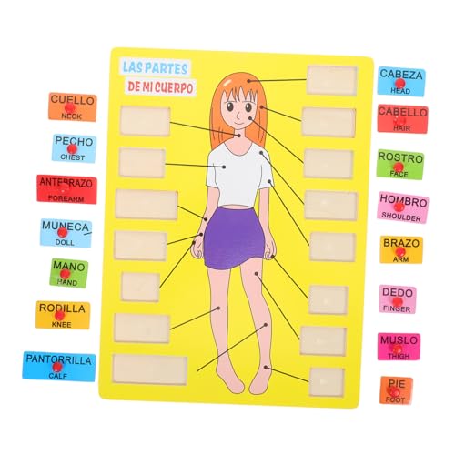 BESTonZON 1 Satz Spanisches Rätsel menschliche Körperteile Spielzeug Anatomie-Puzzle Spielezeug Lernspielzeug Bildung Puzzlematte hölzernes menschliches Körperpuzzle passendes Spielzeug Holz von BESTonZON