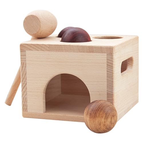 BESTonZON 1 Set-Box Ballbox-Spielzeug Musik Pochendes Spielzeug Bälle Klopfen Spielzeug Ballschlagendes Spielzeug Hammer Bank Spielzeug -Kleinkind-Spielzeug Stapelspiele Für Babys Holz von BESTonZON