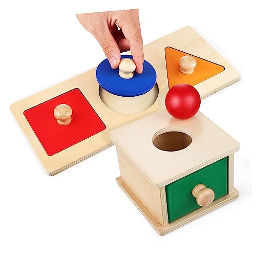 BESTonZON 1 Set-Box Montessori Lehrmittel Lernspielzeug für Kinder Puzzle mit Mehreren Formen Objekt Storage Boxes aufbwahrungs-Box Ball Drop-Spielzeug für Kinder Sensorisches Spielzeugset von BESTonZON