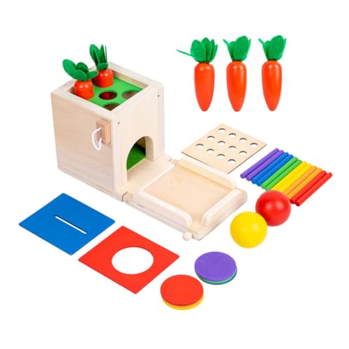 BESTonZON 1 Set Münzbox Spielzeug Kinderspielzeug Spielzeug Kompakt Kinderspielzeug Zubehör Kompakt Sensorisches Spielzeug Pädagogisches Sensorisches Spielzeug Sensorische Spielzeuge Holz von BESTonZON