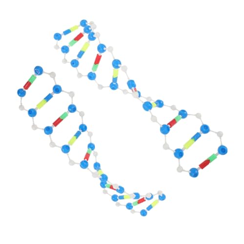 BESTonZON 2 Stück DNA Modellbausatz Doppelhelix Struktur Genetik Lernspielzeug für Biologieunterricht Detaillierte Molekulare Komponenten für Naturwissenschaftliche Experimente und BESTonZON 2 Stück DNA Modellbausatz Doppelhelix Struktur Genetik Lernspielzeug für Biologieunterricht Detaillierte Molekulare Komponenten für Naturwissenschaftliche Experimente und von BESTonZON