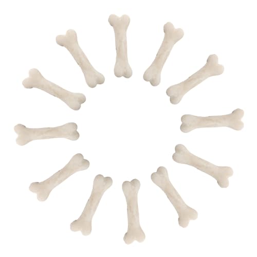 BESTonZON 20 STK Mini-Knochenmodell Mini Knochen Modell Halloween Deko Knochen Skelett Dekoration Detailreiche Miniaturen Bastelbedarf Mini Knochen Mini-Skelette Knochendekor Harz Beige von BESTonZON