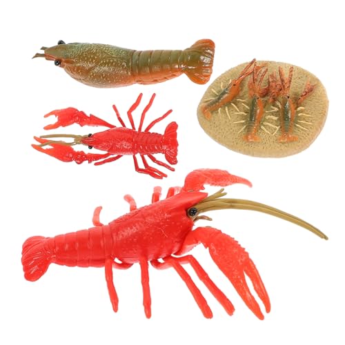 BESTonZON 4 Stück Teiliges Hummer Lebenszyklus Modellset Lernspielzeug Kunststoff Tierfiguren für Frühe Bildung Klassenzimmer Dekoration und Party Zubehör BESTonZON 4 Stück Teiliges Hummer Lebenszyklus Modellset Lernspielzeug Kunststoff Tierfiguren für Frühe Bildung Klassenzimmer Dekoration und Party Zubehör von BESTonZON