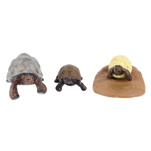 BESTonZON Lebenszyklus Schildkröten Modell Teiliges Kunststoff Tierfiguren Lernspielzeug für Pädagogisches Wachstum Verständnis Ab Jahren BESTonZON Lebenszyklus Schildkröten Modell Teiliges Kunststoff Tierfiguren Lernspielzeug für Pädagogisches Wachstum Verständnis Ab Jahren von BESTonZON