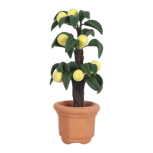 BESTonZON Maßstab Realistische Mini Topfpflanze mit Früchten Puppenhaus Zubehör für DIY Dollhouse Garten Wohnzimmer Dekoration BESTonZON Maßstab Realistische Mini Topfpflanze mit Früchten Puppenhaus Zubehör für DIY Dollhouse Garten Wohnzimmer Dekoration von BESTonZON