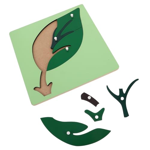 BESTonZON Montessori Holzspielzeug Pflanzen Lernbrett für Kleinkinder Pädagogisches Montessori Denkvermögen Feinmotorik und Hand Auge koordination Vielseitig für Zuhause und Schule Geeignet BESTonZON Montessori Holzspielzeug Pflanzen Lernbrett für Kleinkinder Pädagogisches Montessori Denkvermögen Feinmotorik und Hand Auge koordination Vielseitig für Zuhause und Schule Geeignet von BESTonZON