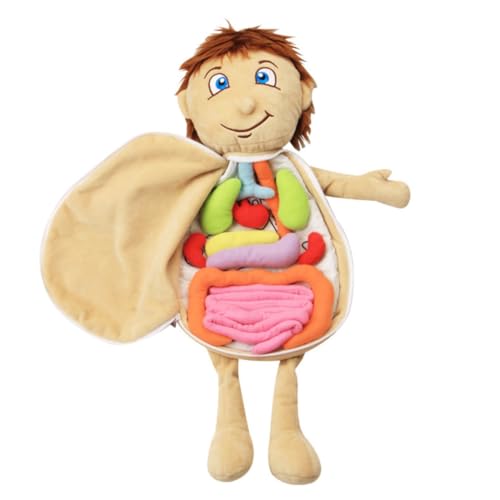 BESTonZON Plüsch Organ Puzzle Lehrreiches Stofftier Körper Organe Lernhilfe für Vorschulkinder Hautfreundlich Pädagogisches für Kindergarten und Eltern Junge Mädchen Spiele BESTonZON Plüsch Organ Puzzle Lehrreiches Stofftier Körper Organe Lernhilfe für Vorschulkinder Hautfreundlich Pädagogisches für Kindergarten und Eltern Junge Mädchen Spiele von BESTonZON