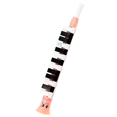 BESTonZON Professionelle Melodika Instrument Für Anfänger Melodica Für Erwachsene Melodica 13 Tasten Für Anfänger Musik Melodika Melodica-Instrumente Für Kinder Harz von BESTonZON