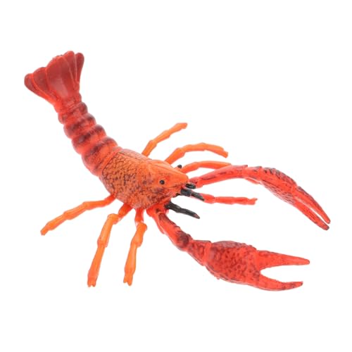 BESTonZON Realistisches Lobster Modellspielzeug Kinderkreatives Lernspielzeug Leicht Tragbar Für Zuhause Schule Park Dekoratives Kinderfiguren BESTonZON Realistisches Lobster Modellspielzeug Kinderkreatives Lernspielzeug Leicht Tragbar Für Zuhause Schule Park Dekoratives Kinderfiguren von BESTonZON